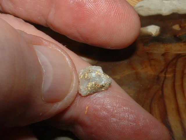 GOLD QUARTZ SPECIMEN .33 GRAM BLUE MTNS OREGON GOLD