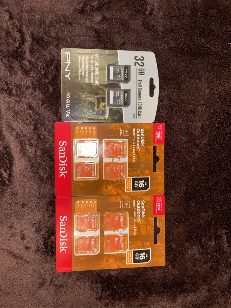 SD CARDS