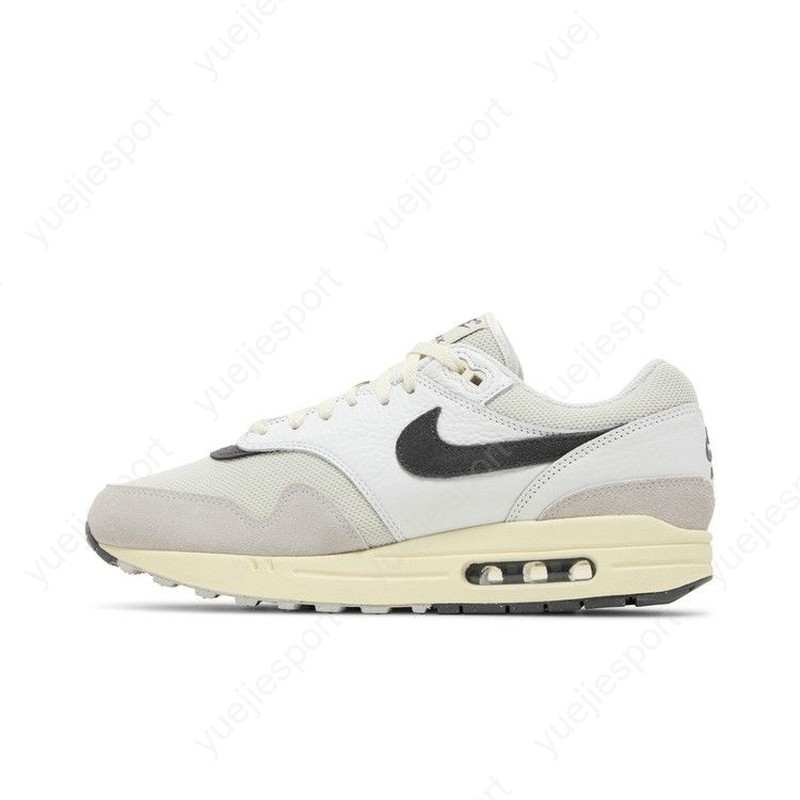 Nike Air Max 1 Light Bone Iron Grey HJ3498-007