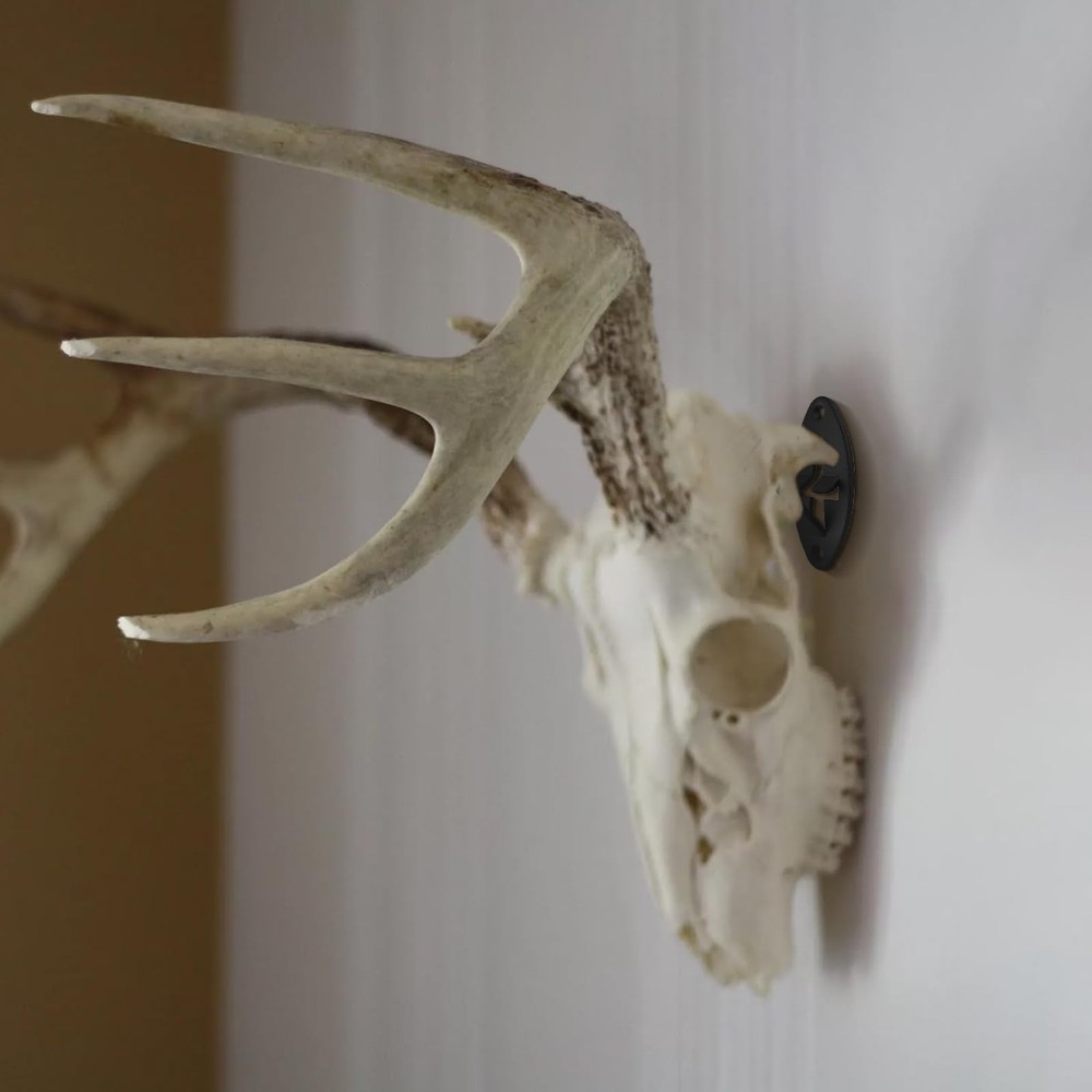 10pcs European Mount Skull Hanger, Deer Rock Solid Black