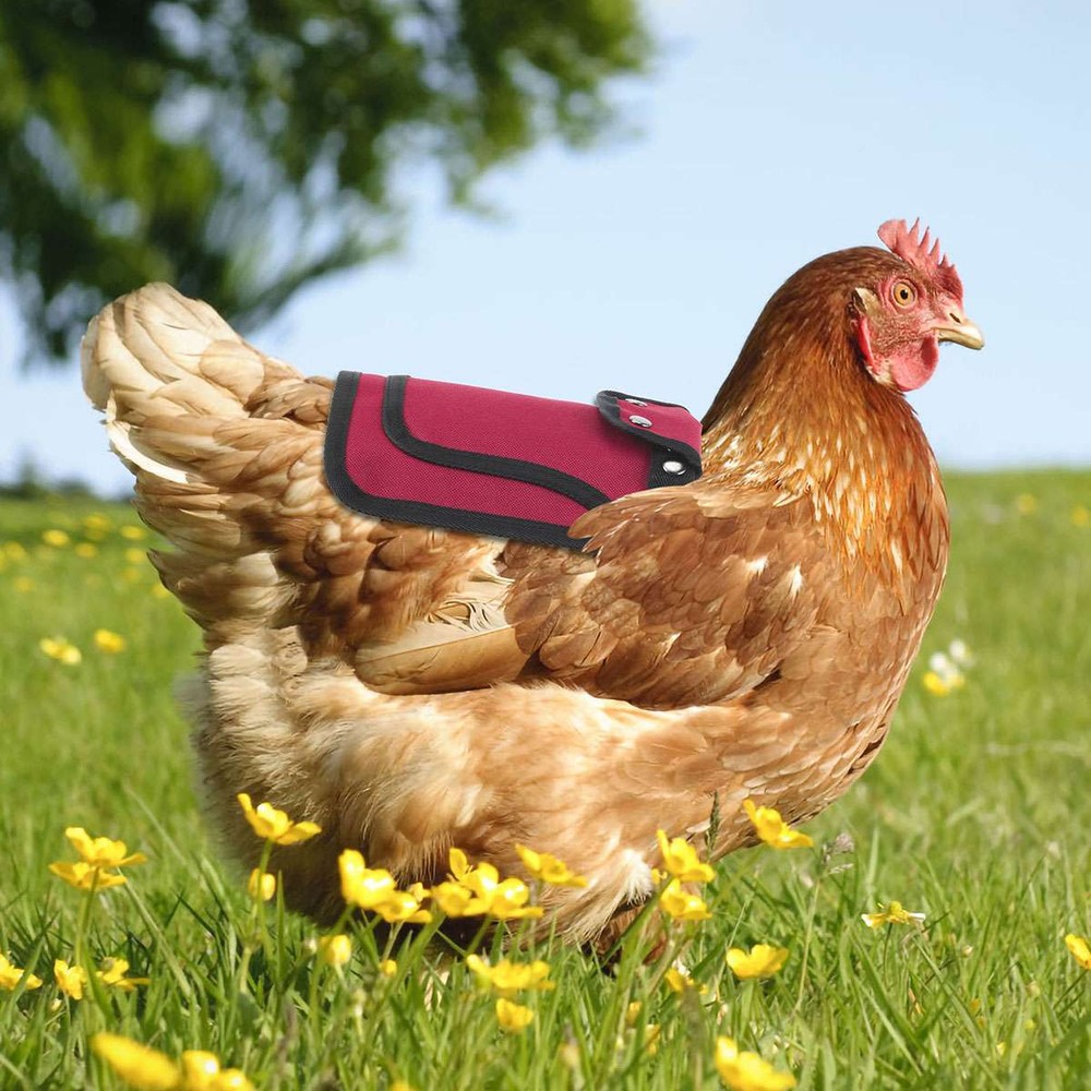 Chicken Protection Back Wing Protector Hen Chicken Saddle Back Apron Jacket Coat