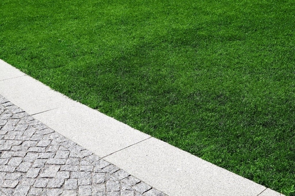 Elemental Sulphur Agricultural Sulfur Pellets Soil Acidifier ph down 90% FAST SH