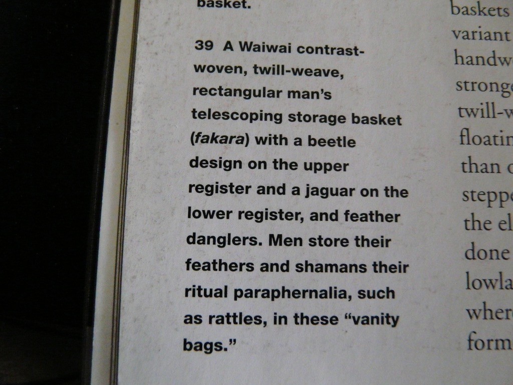 WAIWAI BRAZIL AMAZON INDIAN SHAMAN BASKET WITH HEADDRESS