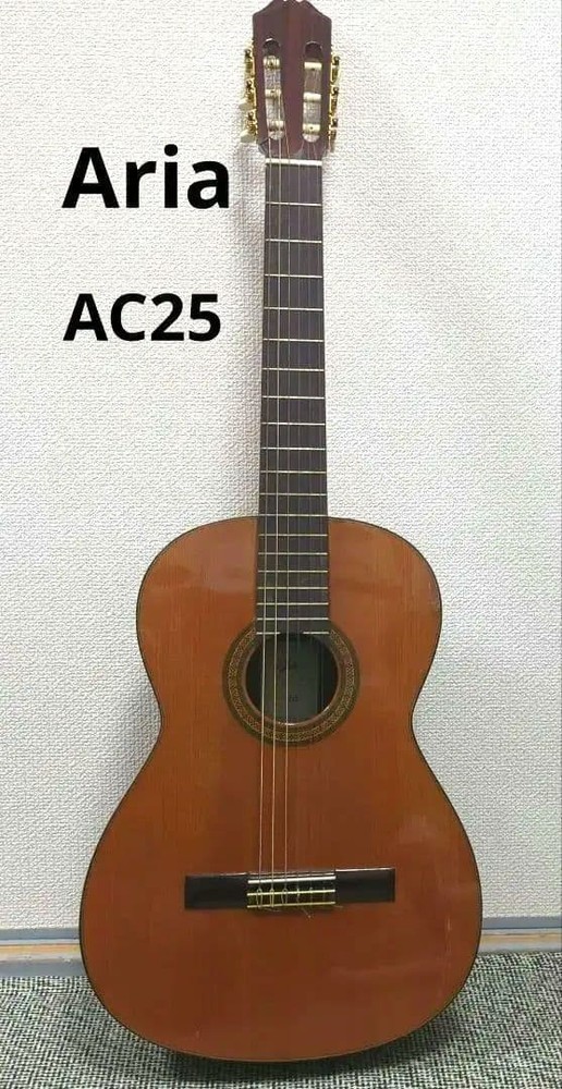 Aria AC25 Classical Guitar Practice Concert with Soft Case