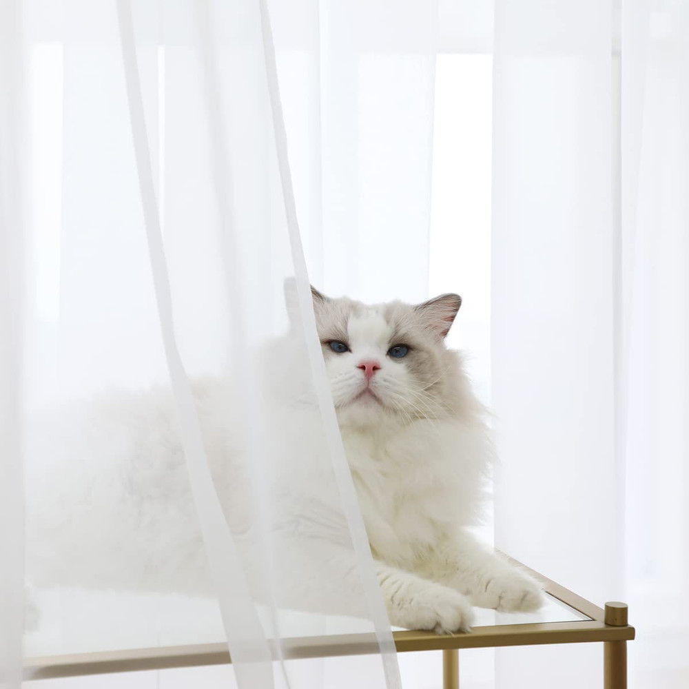 Window Sheer Curtains Clear Transparent Basic Rod Pocket Panel 2 Panels 84"X104"