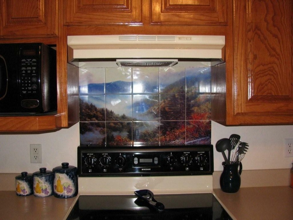 Art Mural Ceramic Backsplash Bath Landscape Tile #130