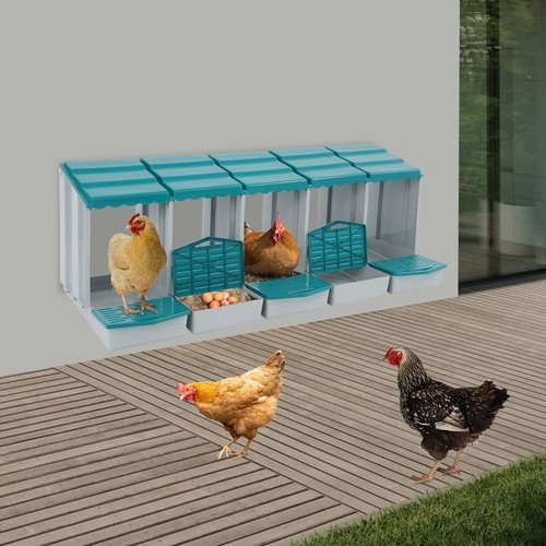 Chicken Laying Box Modern 5-Compartment Chicken Nesting Box with Egg Collection