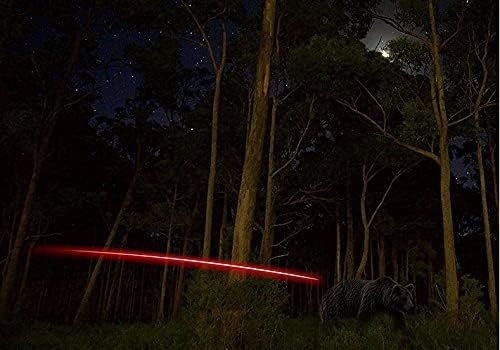 DEEPOWER Crossbow LED Nock 4-Pack Universal