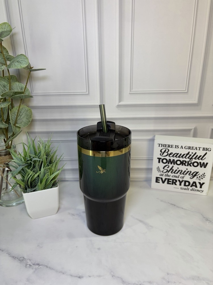 Stanley x Wicked Elphaba 20oz 2024 Edition EUC