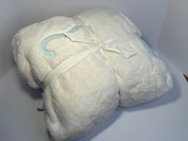 Pottery Barn Teen Hello Kitty & Friends Large Cinamoroll Bean Bag Cover only