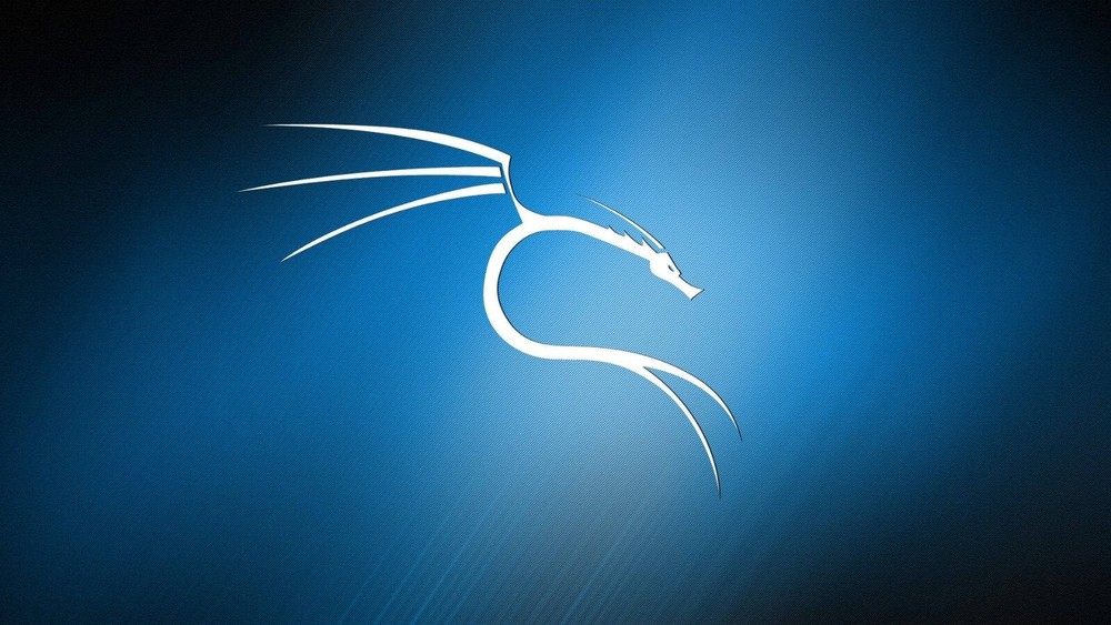 Kali Linux 2024.3 64Bit and 32bit Bootable Live USB