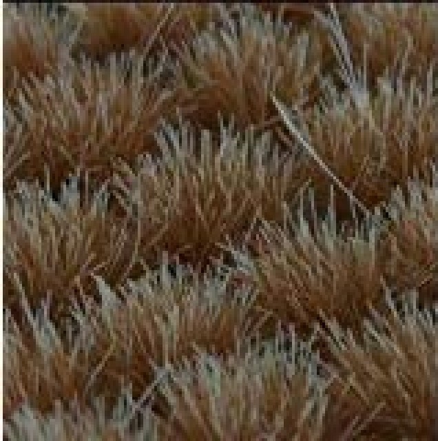 Gamers Grass: Dry Tuft (6mm)