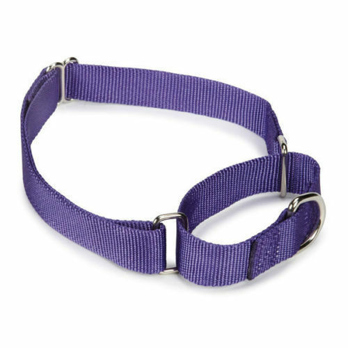 Martingale Dog Collars Adjustable Nylon Choke No Pull Training Pick Color & Size