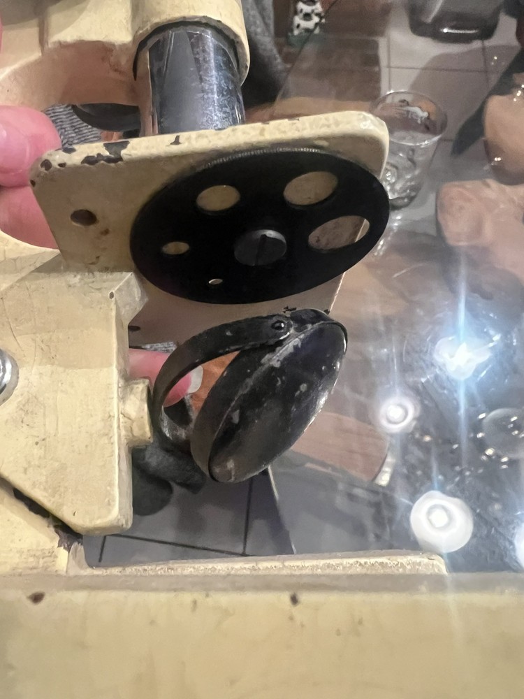 vintage jena microscope