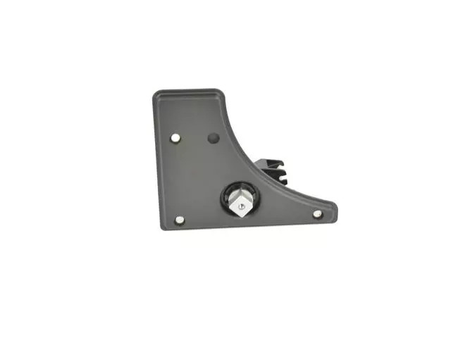 Genuine Mopar Remote Handle Bezel Left 1ZQ09JXWAA