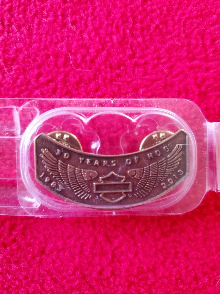 HOG HARLEY DAVIDSON OWNERS Patch And PIN