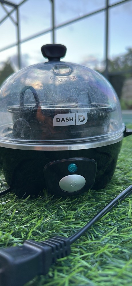 dash egg Rapid cooker