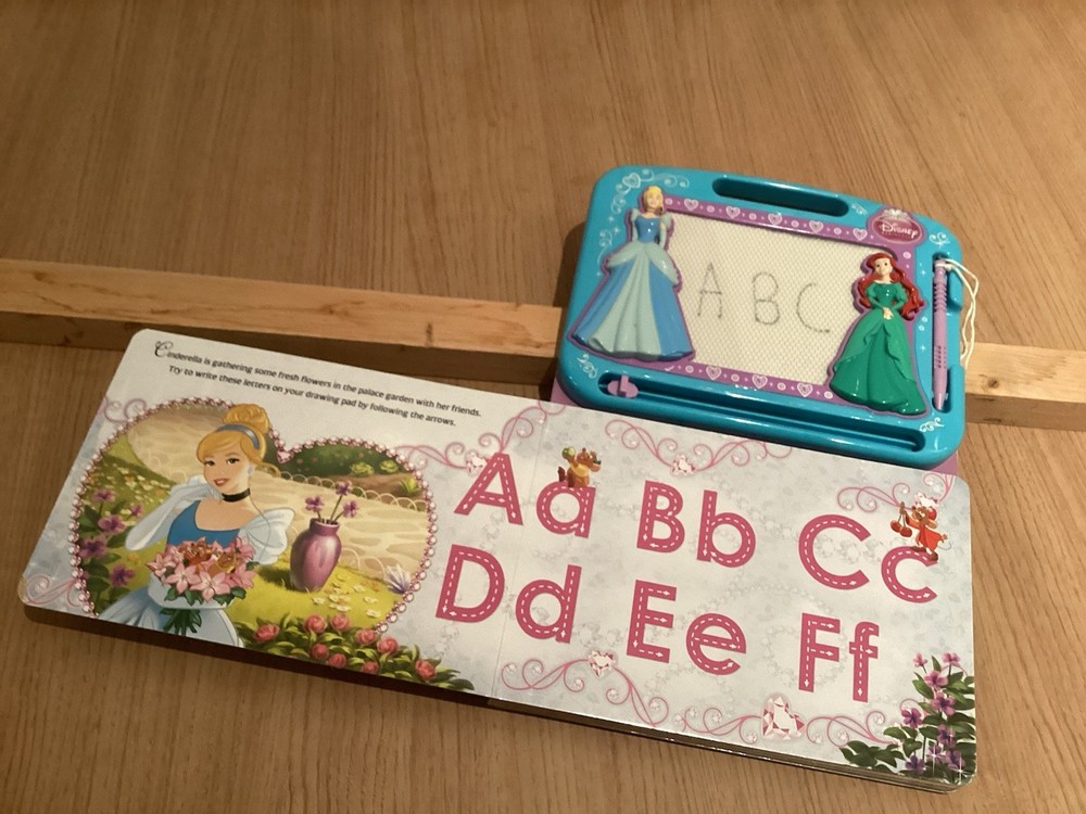 Disney Princess Learn to Write Magnetic Activity Book