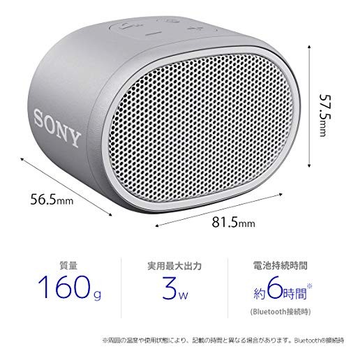 Sony Wireless Portable Speaker Waterproof Bluetooth with Microphone White