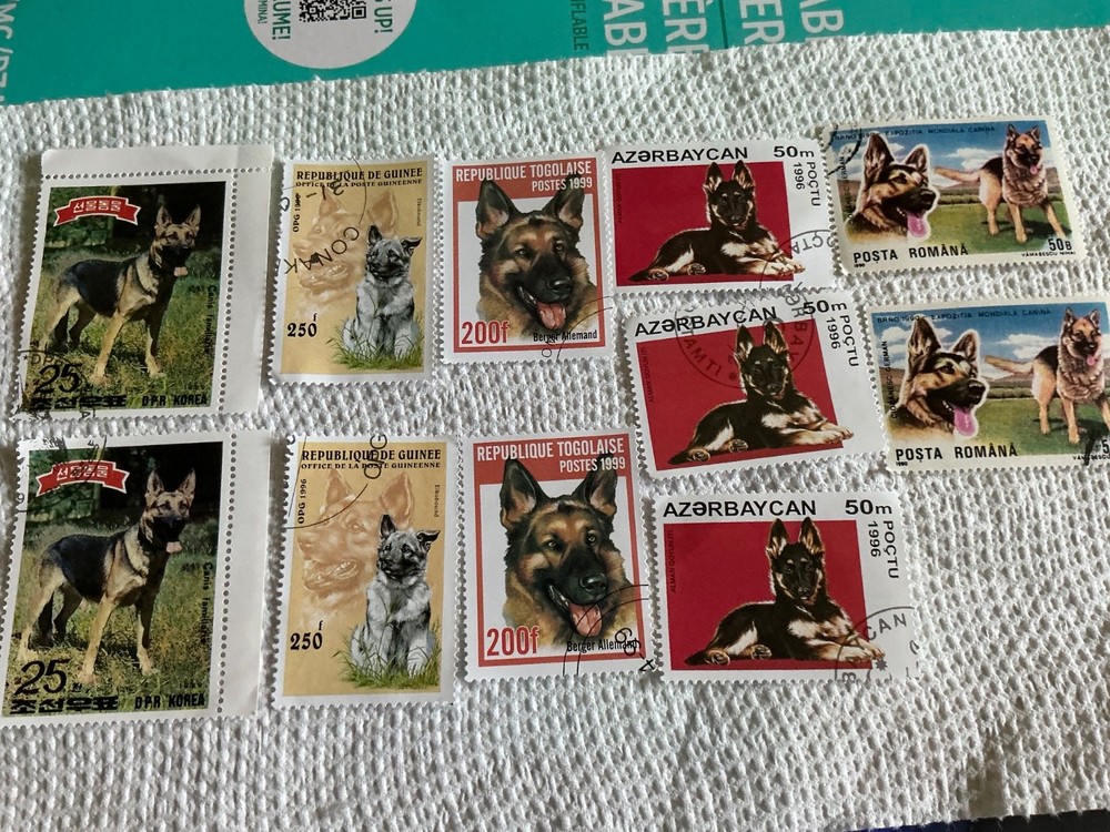 GERMAN SHEPHERD