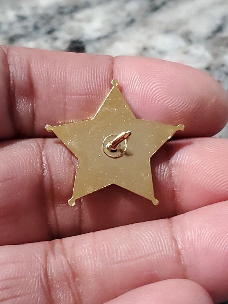 Alabama Sheriff Pin