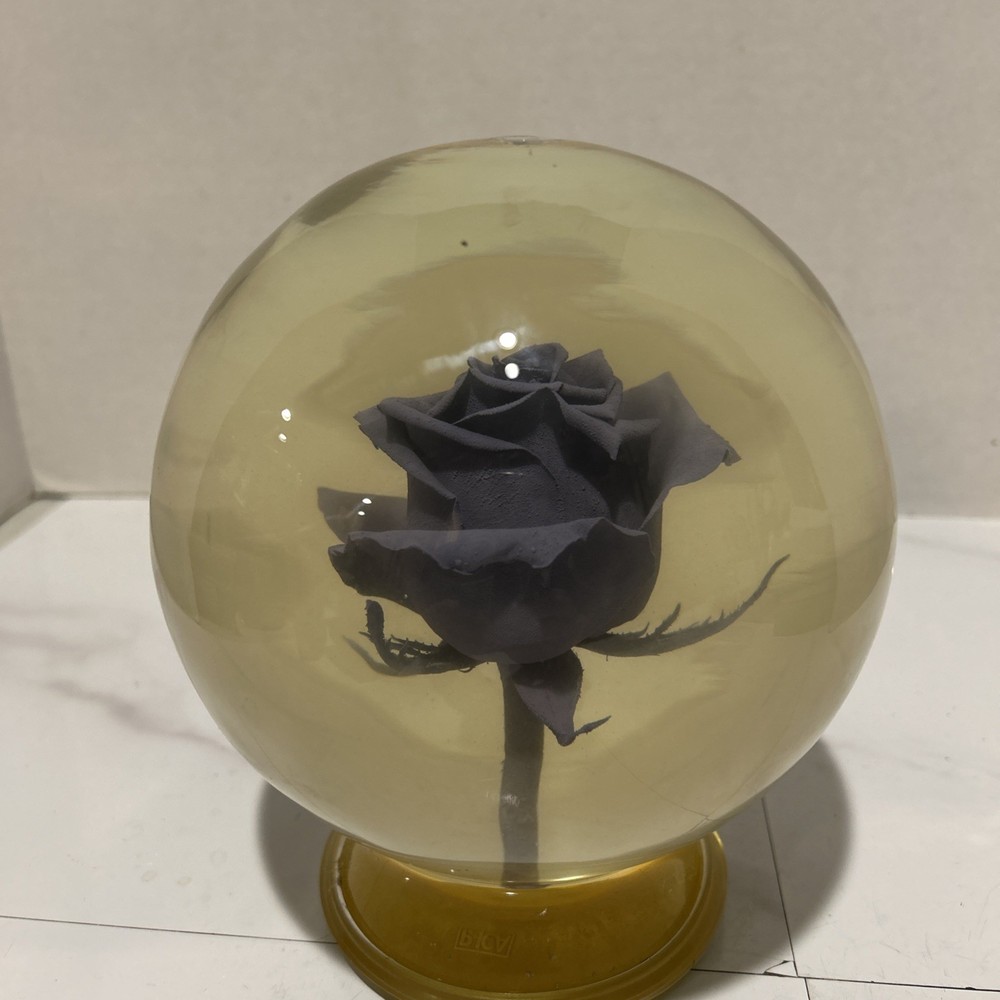 Forever Real Lavender  Rose Globe With Suction Bottom
