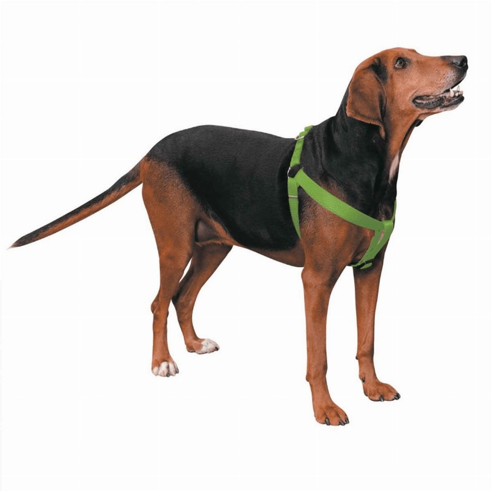 2 Step Pet Harness