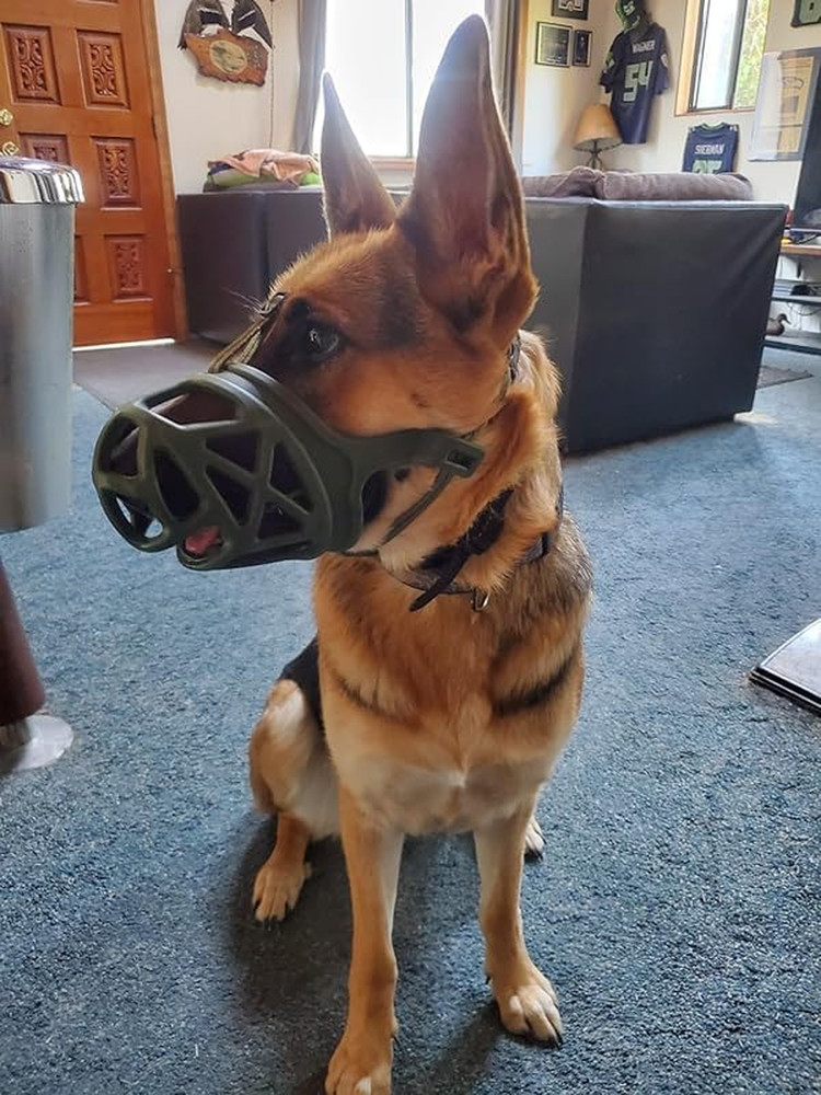 Dog Muzzle, Breathable Basket Muzzles for Small, Medium, Large and X-Large Aggre