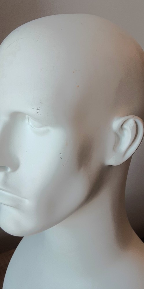 Male Mannequin Display Head