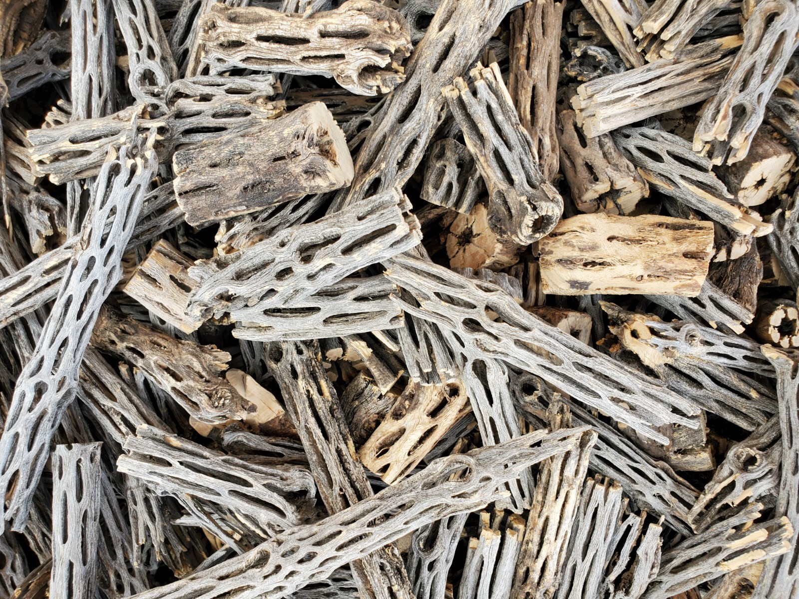 2+ LBS CHOLLA Wood CUTOFFS | Whole Pieces Split Halves Bits | Aquarium, Crafts