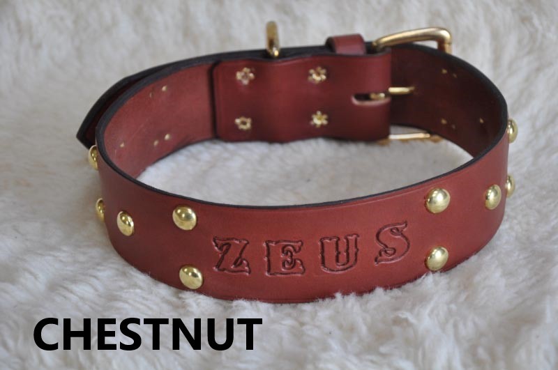 Leather Dog Custom Collar Personalized Free 2" WIDE Custom Quality Leather