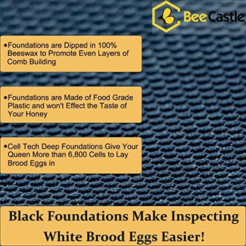 Heavy Wax Coated Langstroth Deep/Brood Box 8 Frame Beeswax Foundation Sheets New