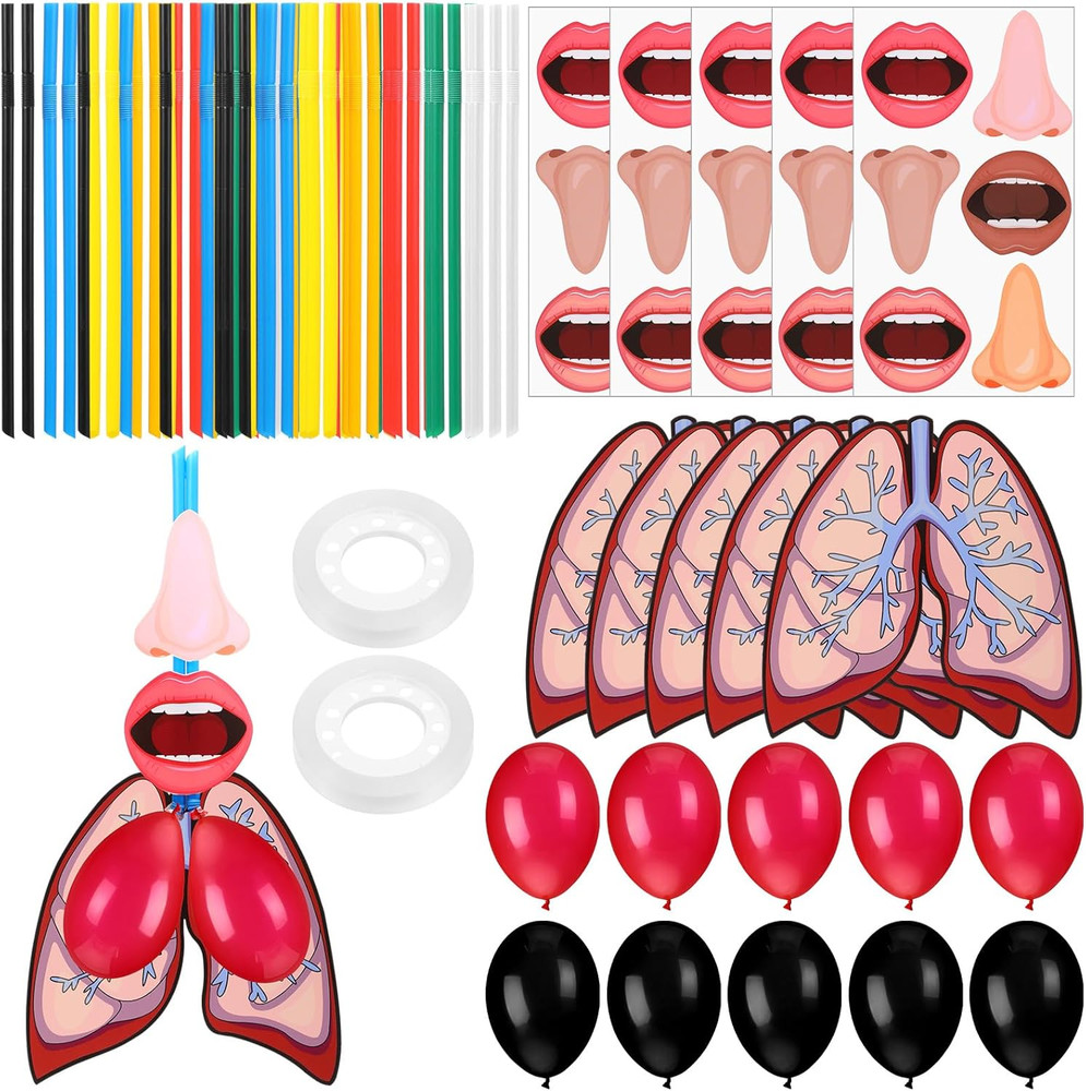 24 Sets Lung Model Respiratory System Model Toys Science Classroom Study Display