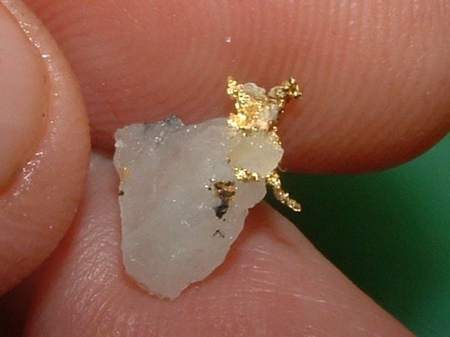 GOLD MATRIX SPECIMEN .47 GRAM CALIFORNIA GOLD IN QUARTZ