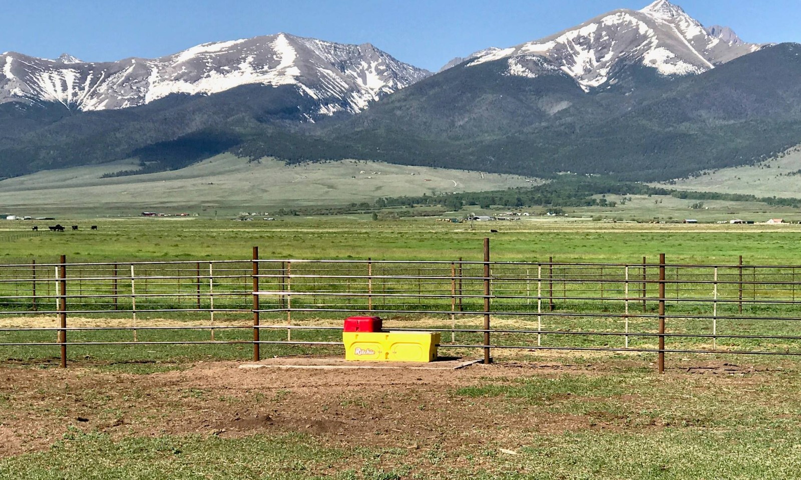 Ritchie CATTLEMASTER 480 CM480 Automatic Heated CATTLE Trough Waterer