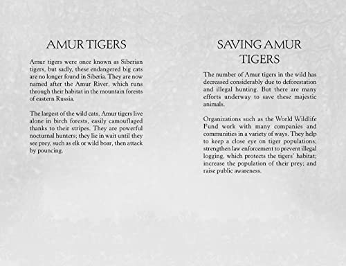 The Orphaned Tiger (Winter Journeys)