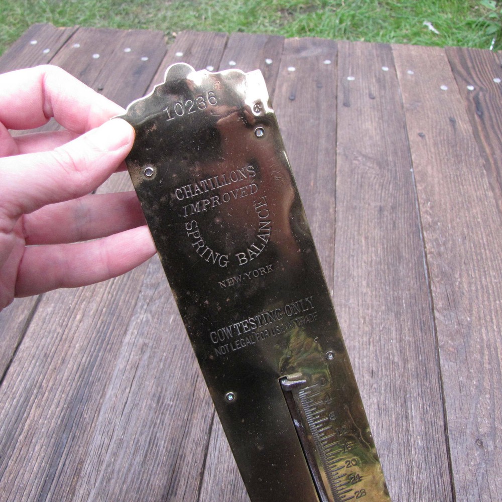 Antique Chatillons Spring Balance Scales