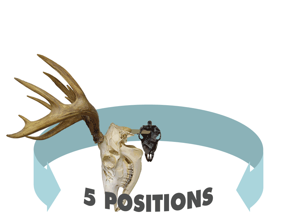 Herron Outdoors Skull Hooker Mount 360 Degree