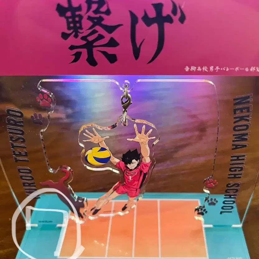 Haikyuu Acrylic Stand Set | Unopened & Opened Options