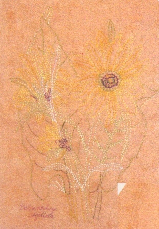 MJP Designs Victorian Wildflowers Embroidery Pattern