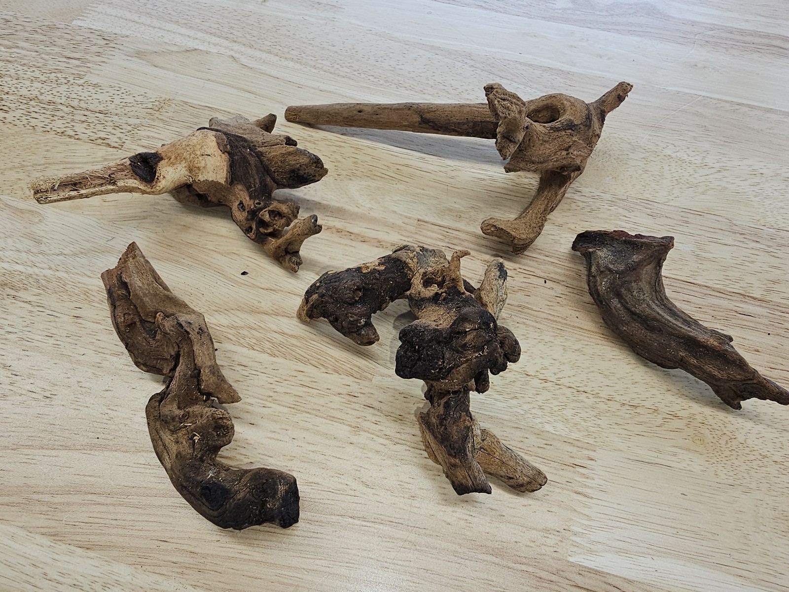 Moss On DriftWood Live Aquarium Plants