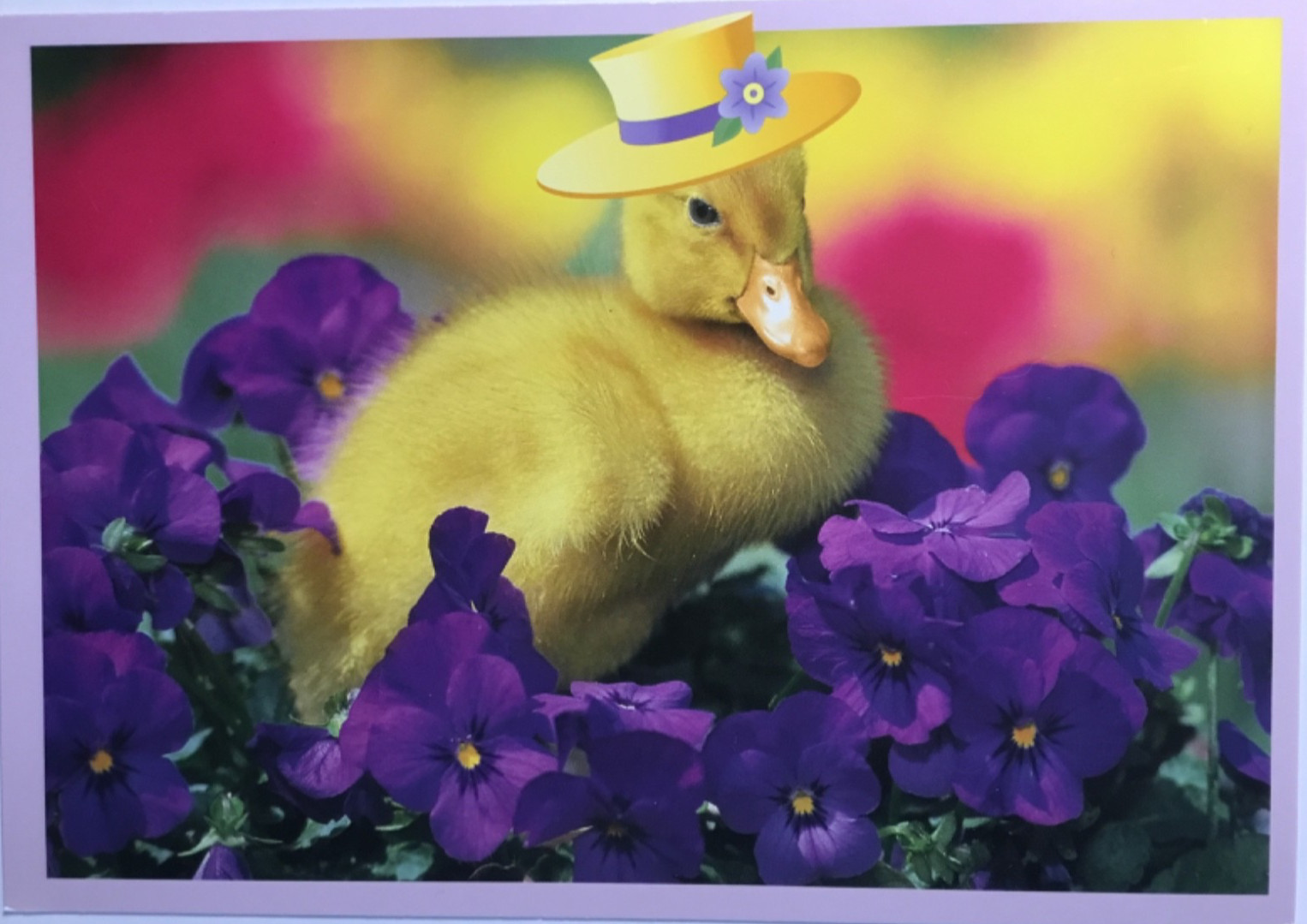 Marcel Schurman- Easter- Baby Duck Wearing Hat Standing In Violets