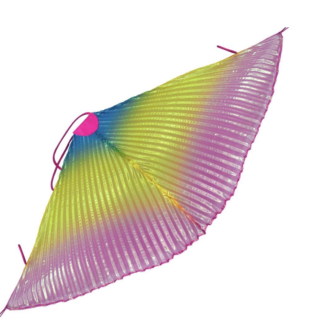 WAY TO CELEBRATE Adult Halloween Rainbow Wings • One Size