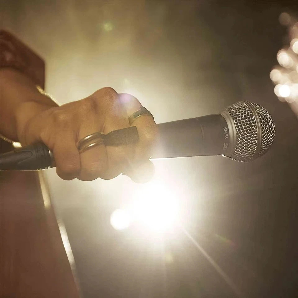 SM58 Style Dynamic Microphone No (on/off) Switch Handheld Vocal Mic Studio Live*