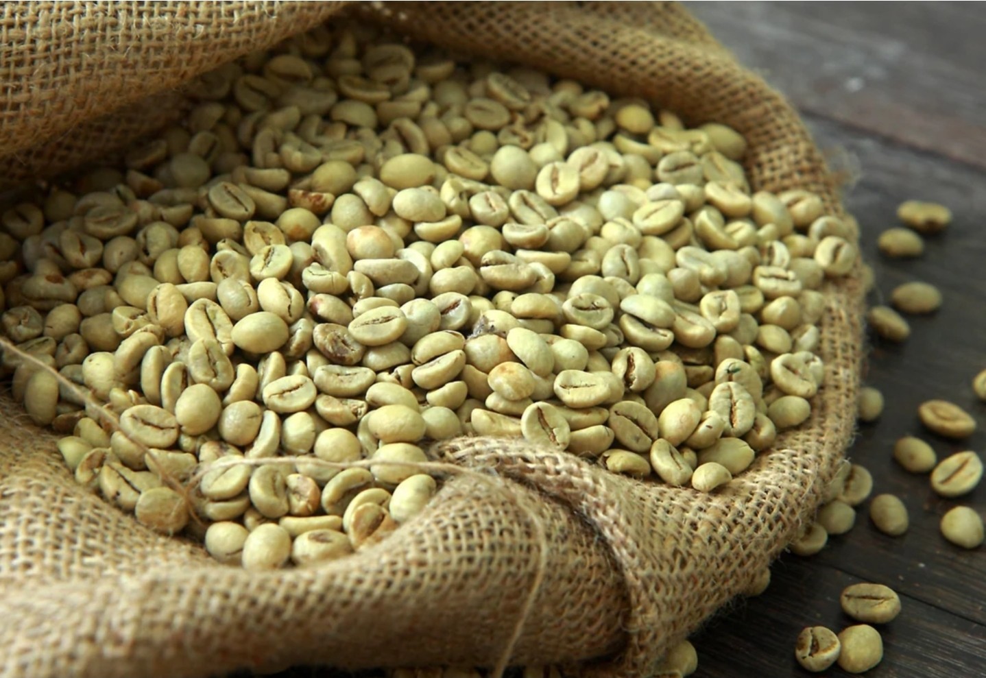 5 LBS GUATEMALAN  FRESH UNROASTED GREEN COFFEE BEANS - ARABICA SHB