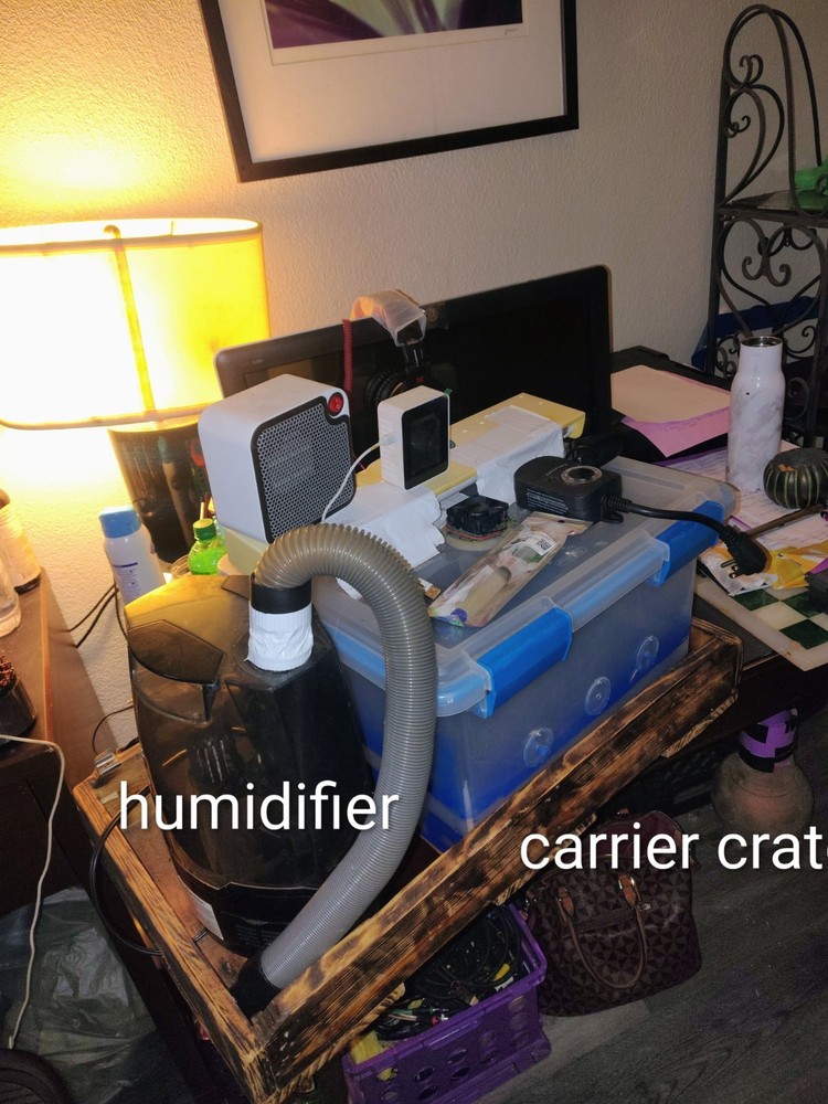 Mushroom Growing Chamber