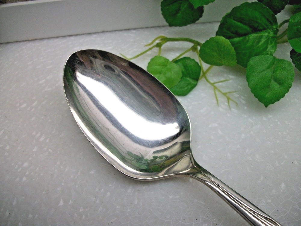 Oneida Community Silverplate ENCHANTMENT Gentle Rose Solid Serving Spoon