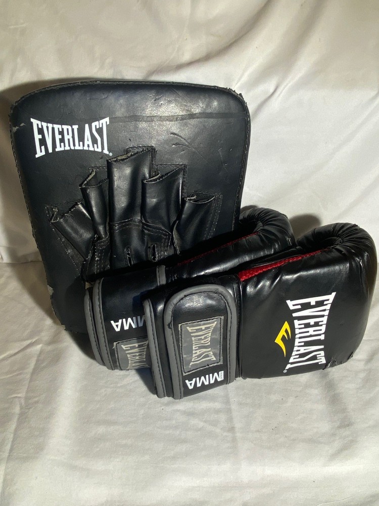 Everlast Boxing Training Gloves & Training Pad