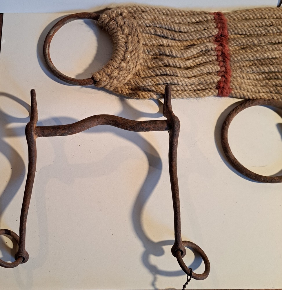 Rustic Western Horse Cowboy Wall Decor Cinch BITS
