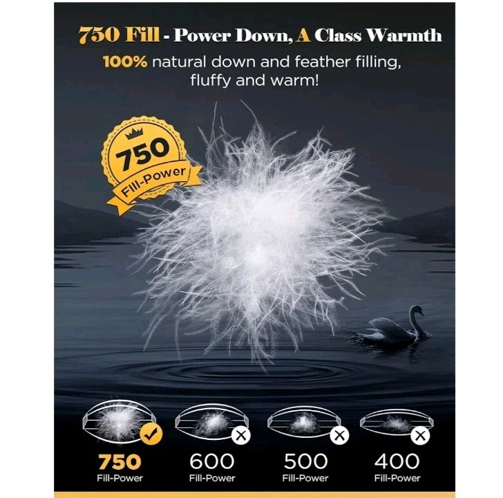 3D Baffle Box Real Down Comforter, White Feathers Down Comforters Queen Size